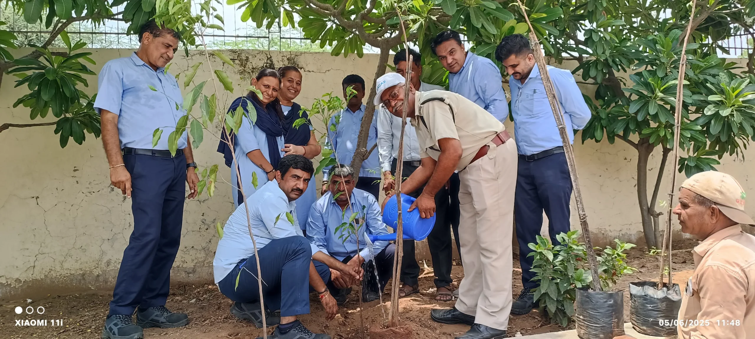 Centers Tree Plantation