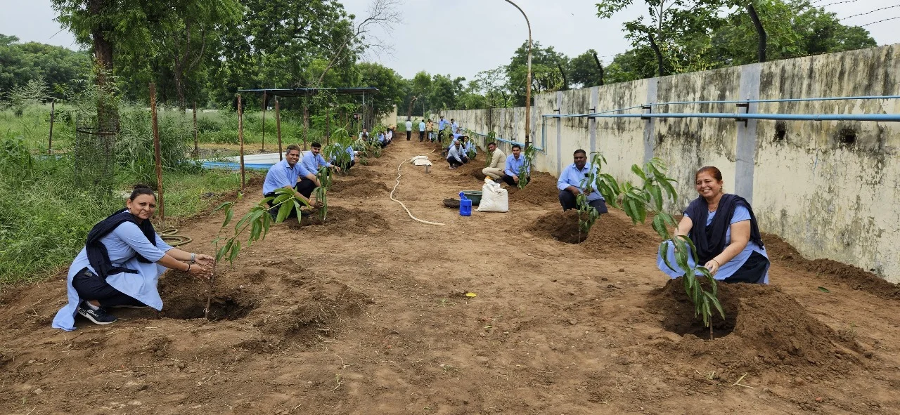Centers Tree Plantation-6