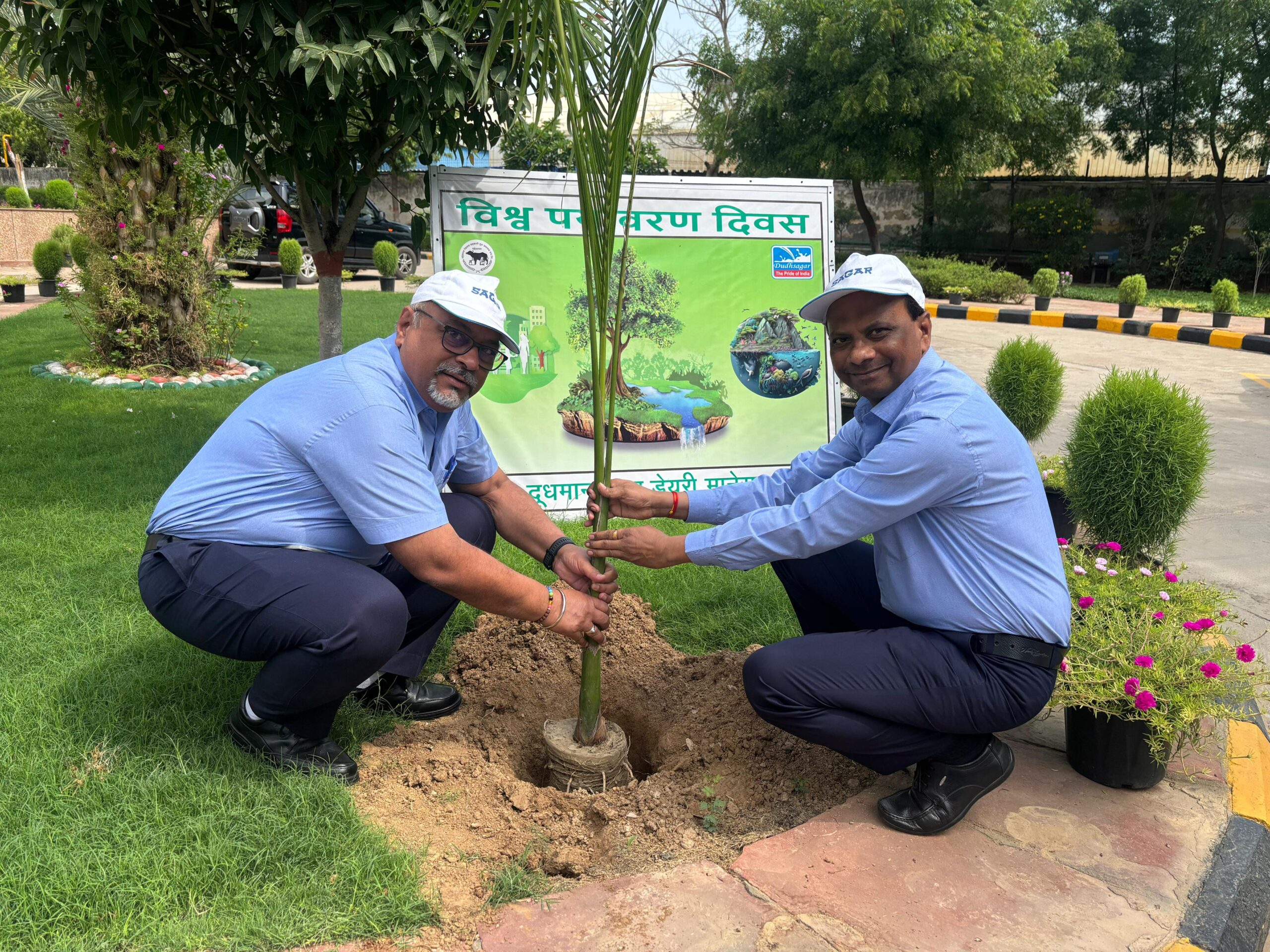Manesar Tree Plantation
