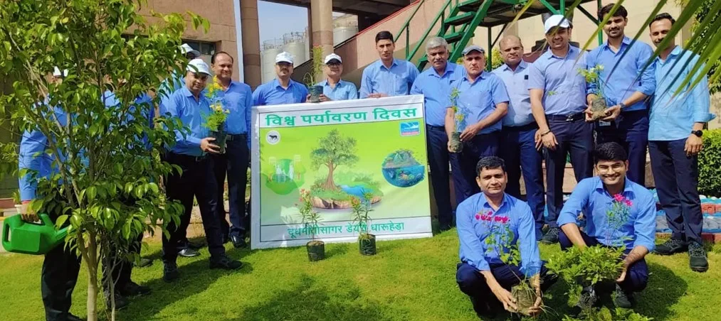 Manesar Tree Plantation