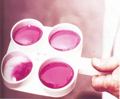 Dudhsagar_dairy_event