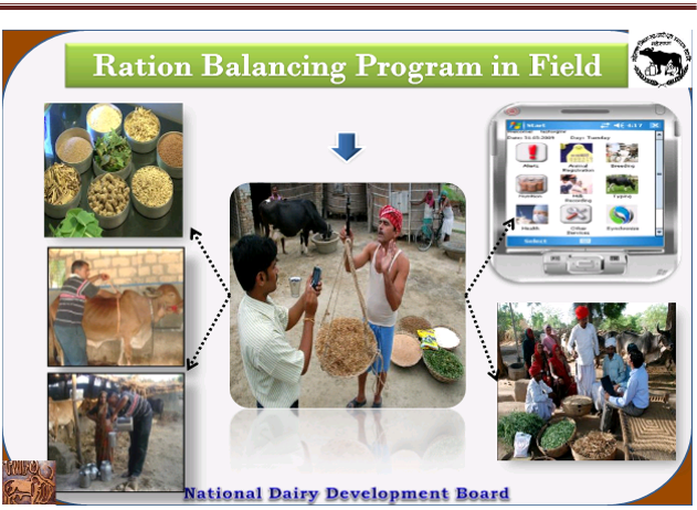 RBP program illustrative graphic