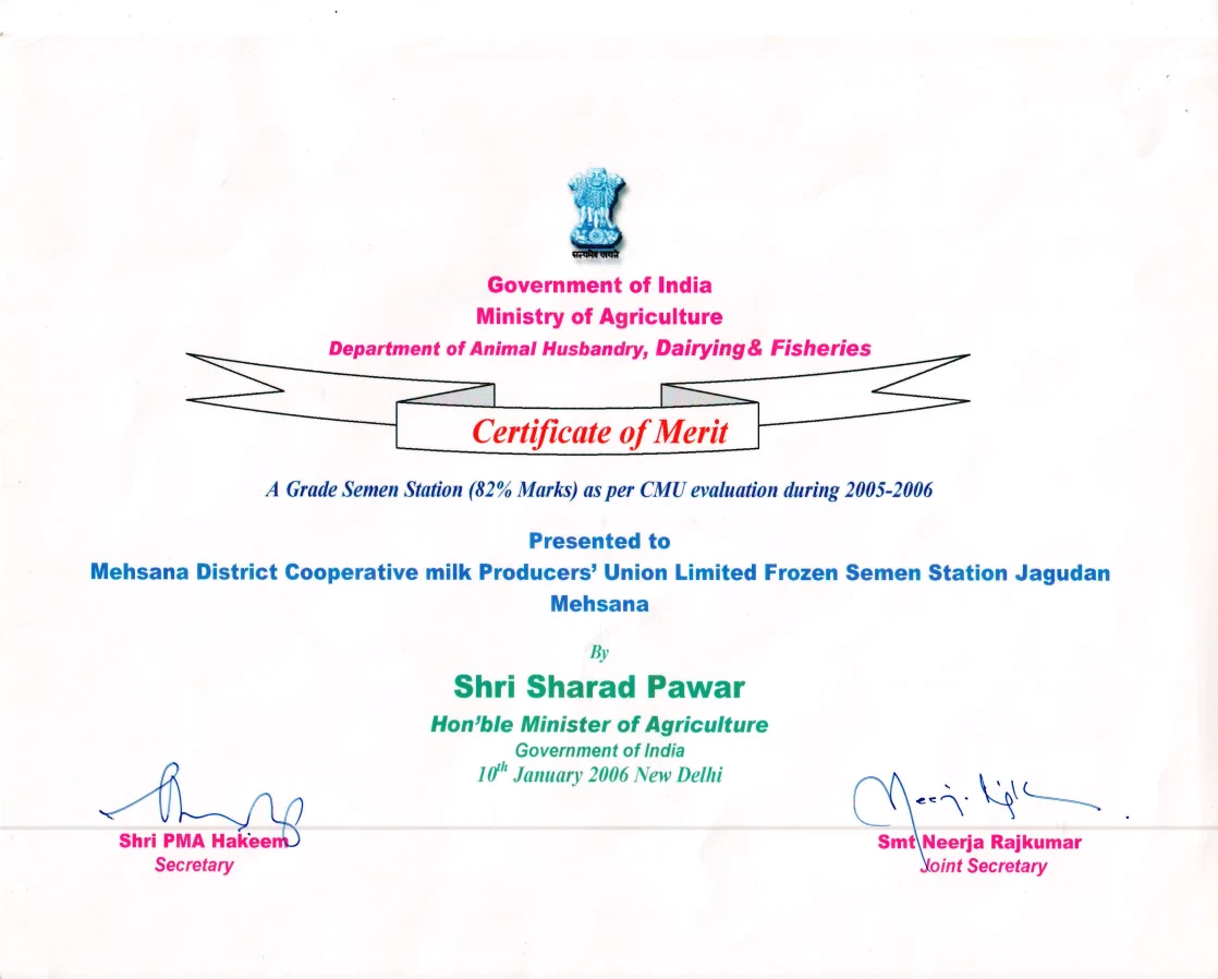 SXJ Certificate