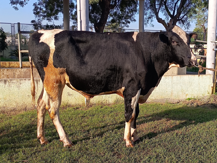 DUR-HFCB-640