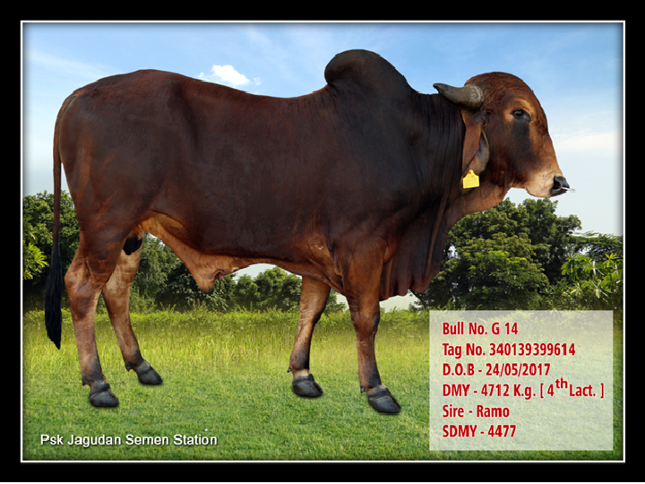 DUR-G-14